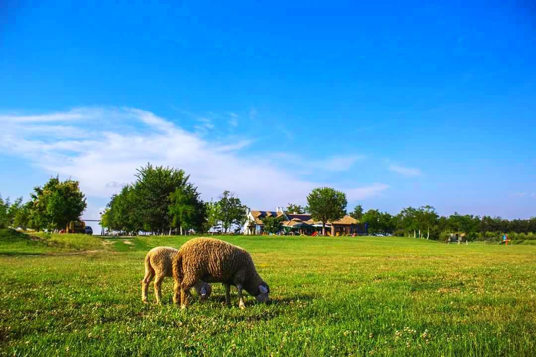 Salas Tatic Hotel Turja Kültér fotó